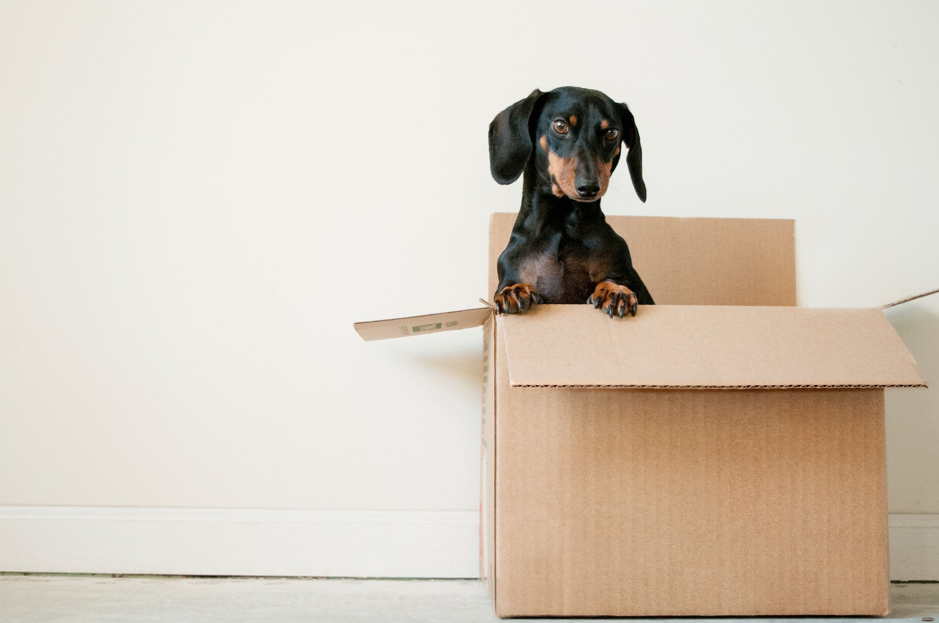 Office Moving
